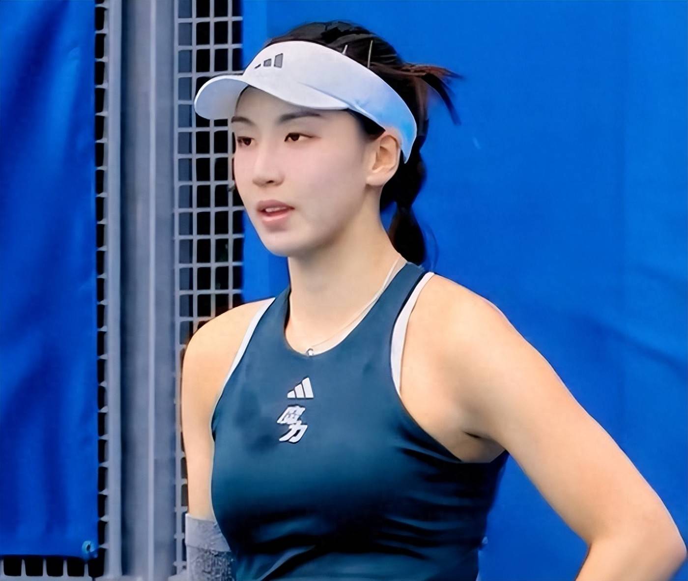 媒体与粉丝 媒体与粉丝