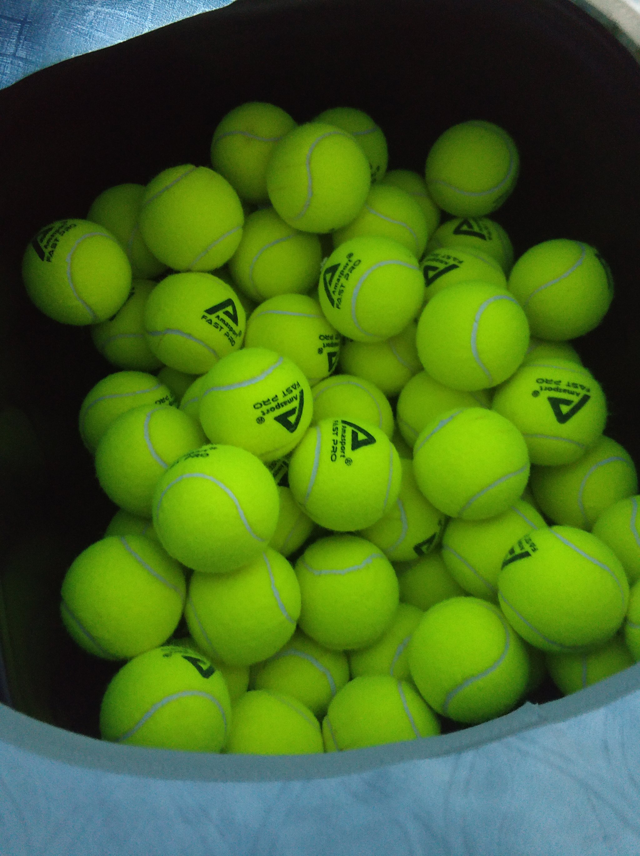 全球顶级的 全球顶级的