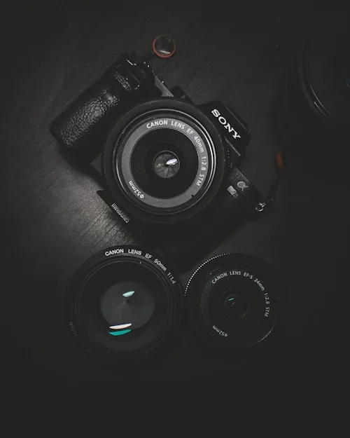 Photography Blog - 开云
